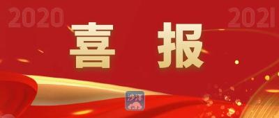 喜报！沙洋女孩喜获金牌