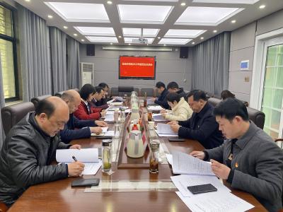 县政府党组2022年度民主生活会召开