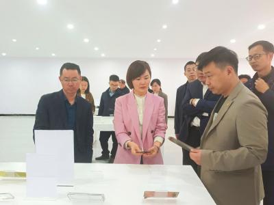 李莉丽带队开展全县4月重点项目督办活动