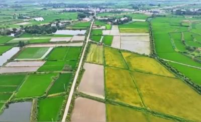 沙洋县曾集镇入选首批国家农业产业强镇