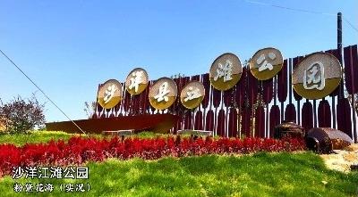 秋日游园会 邂逅这场粉色浪漫