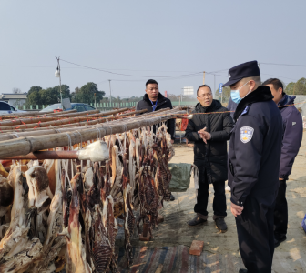 沙洋：打击野生动植物非法贸易