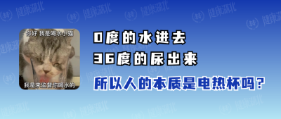 夏天这个喝水习惯，可能让“心脏”崩溃