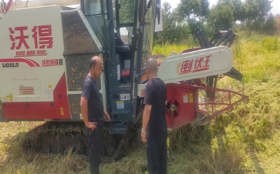 十里铺镇：多措并举，推进低茬收割与秸秆禁烧