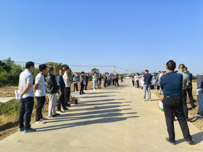 高阳镇召开秋播生产现场会，筑牢粮食安全根基