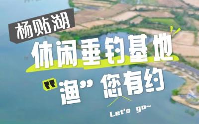 杨贴湖休闲垂钓基地， “渔”您有约！ 