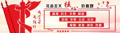“小杠杆”撬动“大能量”——柴湖镇苏榨村探索乡村治理新路径