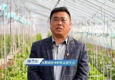 【沙洋新农人风采】沈集镇姚坪村"双瓜记"，种出乡村振兴新画卷。
