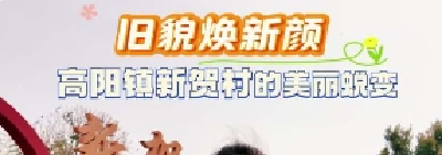 旧貌焕新颜，高阳镇新贺村的美丽蜕变。  