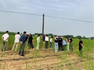 马良镇：“田间课堂”淬炼青年干部三农本领