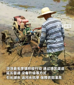 清淤引水润良田 沙洋县毛李镇硬核抗旱保丰收