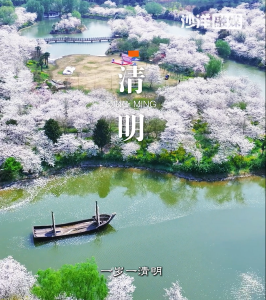 愿故人长宁，人间皆安，清明顺遂