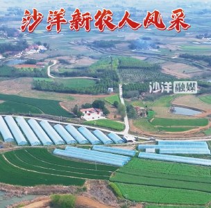 【沙洋新农人风采】多元产业布局，三坪村走出乡村振兴特色发展路径
