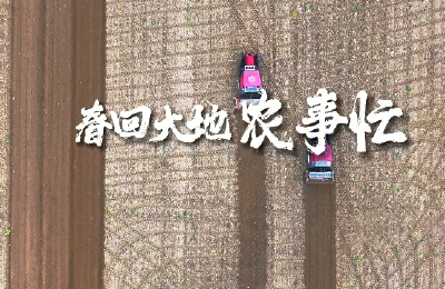 李市镇春耕生产有序推进