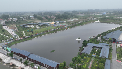 沙洋碧水藏“渔”乐  垂钓高手逐浪岳飞城