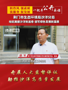 【绘就美丽沙洋新画卷 谱写绿色发展新篇章·一把手公开承诺】荆门市生态环境局沙洋分局接受县人大常委会2025年工作评议公开承诺
