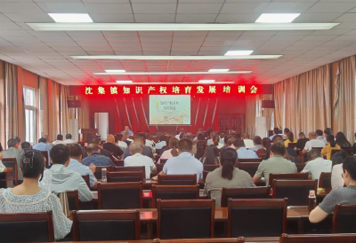 沈集镇开展2025年知识产权培育发展培训