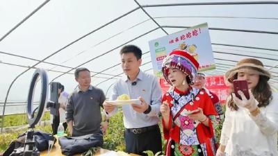 沙洋镇三峡土家族村：妙用网络短视频，织密乡村治理网