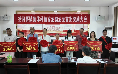 拾回桥镇首期高油酸油菜奖励发放 点燃集体经济新引擎    
