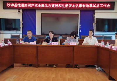 沙洋县召开知识产权金融生态建设和注册资本认缴制改革试点工作推进会