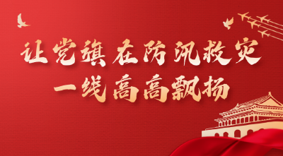 让党旗在防汛救灾一线高高飘扬