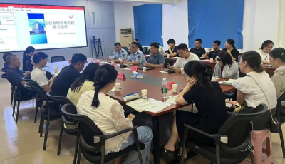 沙洋镇：聚力知识产权培育 激发企业创新动能