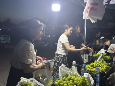 沙洋：直播搭台助农兴 文艺惠民绘新景