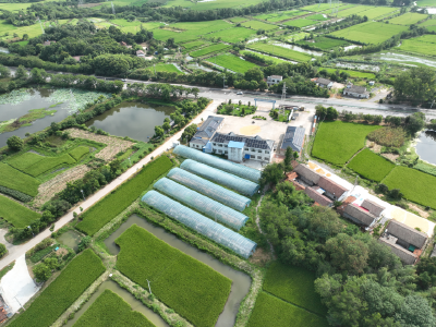 产业兴 地生金  唐店村“土疙瘩”里长出“新钱景”