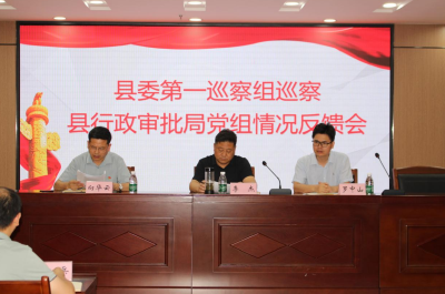 县委第一巡察组巡察县行政审批局党组情况反馈会召开