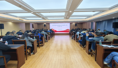 沙洋：12345平台延伸到基层 开启热线服务新篇章