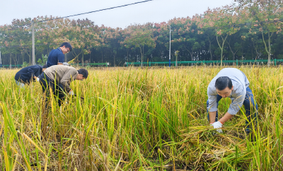 毛李镇联合官垱镇、后港镇开展“三进一做”实践活动