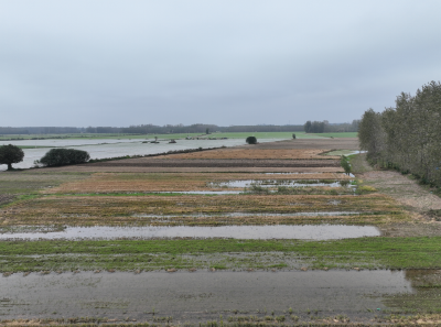 闻汛而动筑防线  干群齐心护家园