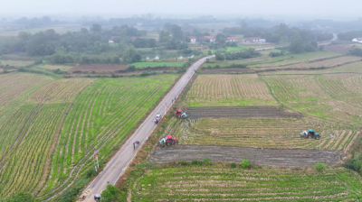 沙洋：政策套餐“精准发力” 护航油菜秋播生产