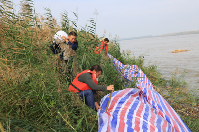   李市镇：干群合力加固圩垸 筑牢汛期“安全墙”