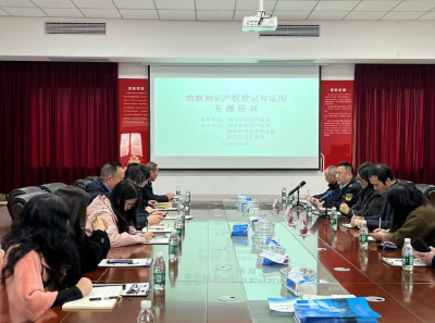沙洋县举办数据知识产权登记与运用专题培训