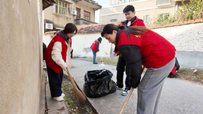 党员志愿齐发力 清洁家园焕新颜    