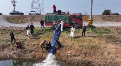 【新春走基层】高阳镇：多措并举助力“一竿逍遥”