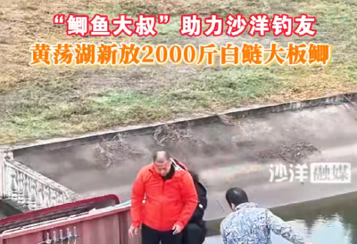 “鲫鱼大叔”助力沙洋钓友，黄荡湖新放2000斤白鲢大板鲫。