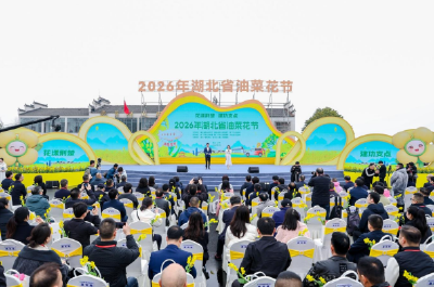 花漾荆楚   建功支点   2026年湖北省油菜花节沙洋开幕   80万亩油菜花海喜迎八方宾客