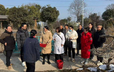 沙洋县公共检验检测中心：田间地头练本领 实训赋能保安全