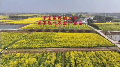 从“一日看花”到“四季想她”——沙洋县农文旅融合激活“美丽经济”纪实