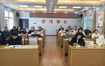 沙洋县审计局：以项目讲评强本领 以比学赶超提质效