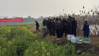 纪山镇开展油菜无人机飞防作业 筑牢春季田管防线