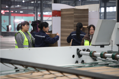 智能化赋能绿色制造 荆门博科思包装有限公司正式投产