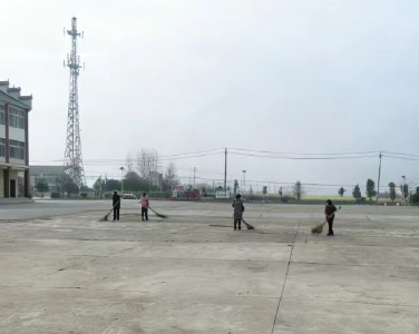 从“一处积水”到“一路舒心”——沙洋“两个畅通”护航油菜花节