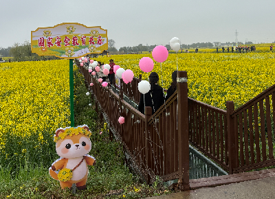 沙洋县委国安办以油菜花节为媒 开展国家安全宣传教育活动