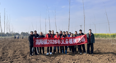 春风拂绿高阳镇 干群合力添新绿