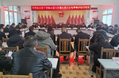 沙洋县三级干部集训暨高质量发展大会毛李镇分组讨论会召开