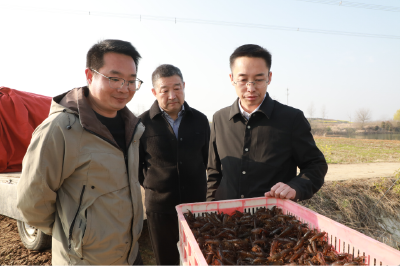 沙洋：水产服务下沉一线 赋能水乡渔业高质量发展