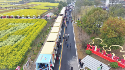 花海盛宴迎客来 百余种沙洋好物点亮2026年湖北省油菜花节